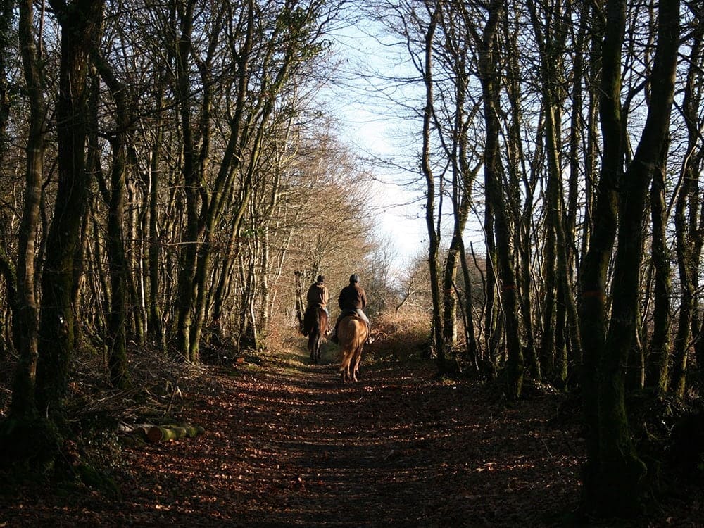 La richesse des paysages de la Bretagne est propice à la randonnée équestre. randonnées équestres en Bretagne